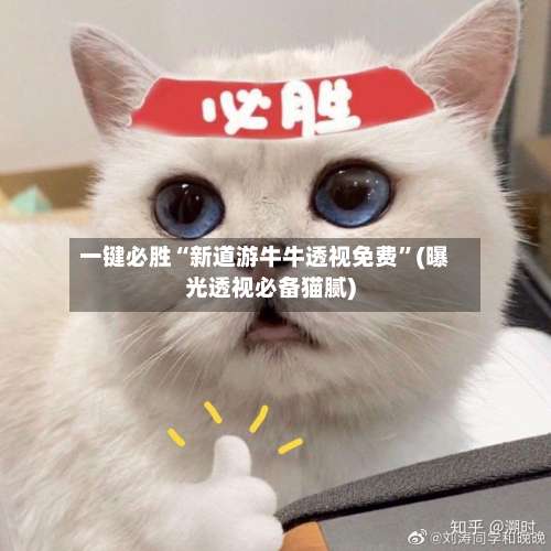一键必胜“新道游牛牛透视免费”(曝光透视必备猫腻)-第1张图片