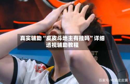 真实辅助“皮皮斗地主有挂吗	”详细透视辅助教程-第1张图片