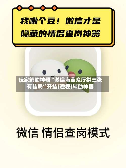 玩家辅助神器“微信海草众厅拼三张有挂吗”开挂(透视)辅助神器-第2张图片