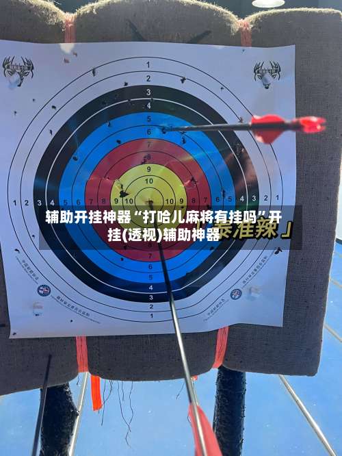 辅助开挂神器“打哈儿麻将有挂吗”开挂(透视)辅助神器-第3张图片