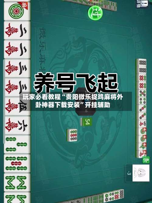 玩家必看教程“贵阳微乐捉鸡麻将外卦神器下载安装”开挂辅助-第3张图片