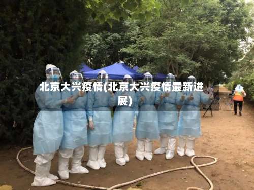 北京大兴疫情(北京大兴疫情最新进展)-第1张图片