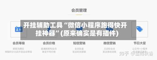 开挂辅助工具“微信小程序跑得快开挂神器”(原来确实是有插件)-第2张图片