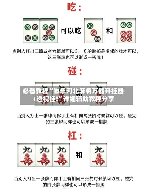 必看教程“微乐河北麻将万能开挂器+透视挂!	”详细辅助教程分享-第1张图片
