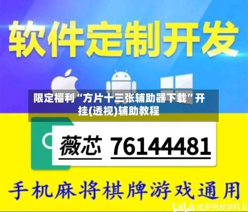 限定福利“方片十三张辅助器下载”开挂(透视)辅助教程-第1张图片