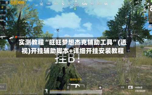 实测教程“旺旺梦想杰克辅助工具	”(透视)开挂辅助脚本+详细开挂安装教程-第1张图片