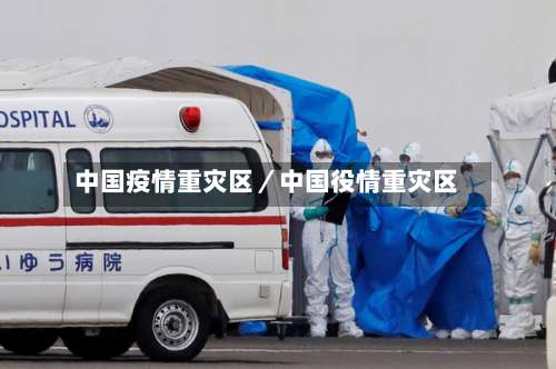 中国疫情重灾区／中国役情重灾区-第1张图片