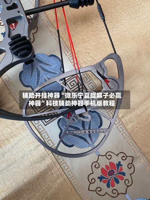 辅助开挂神器“微乐宁夏捉麻子必赢神器”科技辅助神器手机版教程-第1张图片
