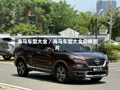 海马车型大全／海马车型大全价格图片-第2张图片