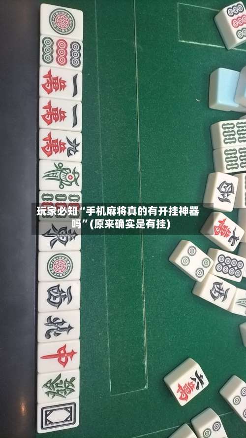 玩家必知“手机麻将真的有开挂神器吗”(原来确实是有挂)-第1张图片