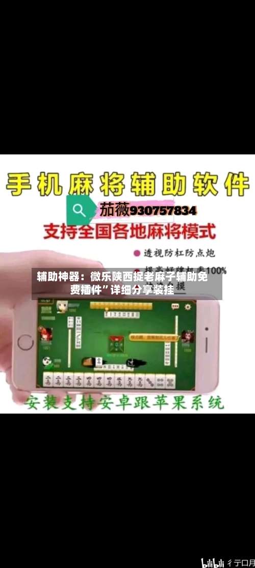 辅助神器：微乐陕西捉老麻子辅助免费插件	”详细分享装挂-第1张图片