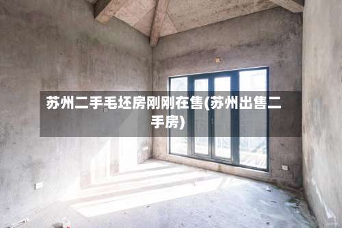苏州二手毛坯房刚刚在售(苏州出售二手房)-第1张图片