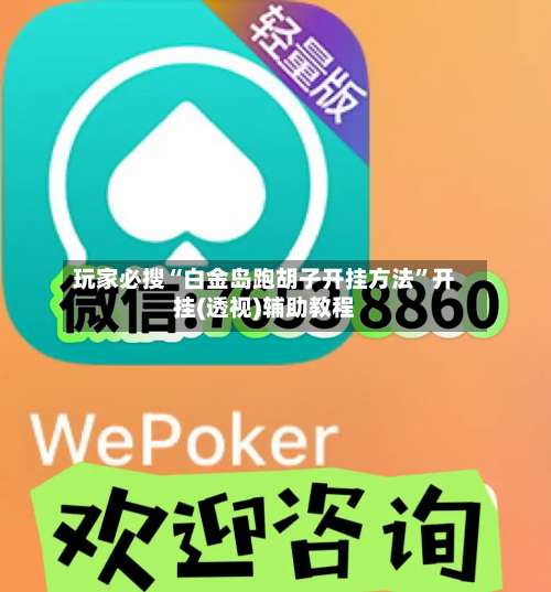 玩家必搜“白金岛跑胡子开挂方法”开挂(透视)辅助教程-第2张图片