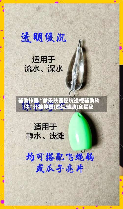 辅助神器“微乐陕西挖坑透视辅助软件	”开挂神器{透视辅助}全揭秘-第2张图片