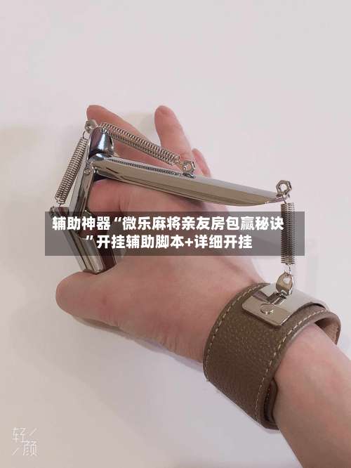 辅助神器“微乐麻将亲友房包赢秘诀	”开挂辅助脚本+详细开挂-第1张图片