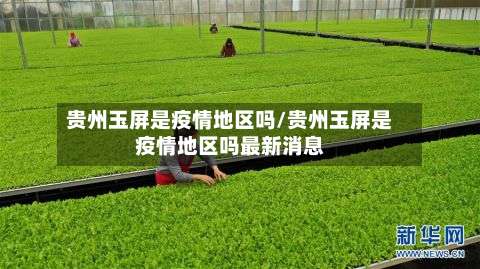 贵州玉屏是疫情地区吗/贵州玉屏是疫情地区吗最新消息-第3张图片