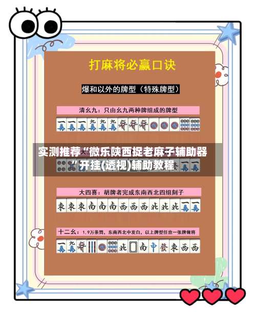 实测推荐“微乐陕西捉老麻子辅助器”开挂(透视)辅助教程-第1张图片