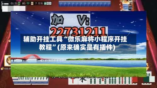 辅助开挂工具“微乐麻将小程序开挂教程”(原来确实是有插件)-第2张图片