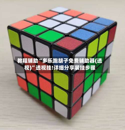 教程辅助“多乐跑胡子免费辅助器(透视)”透视挂!详细分享装挂步骤-第1张图片