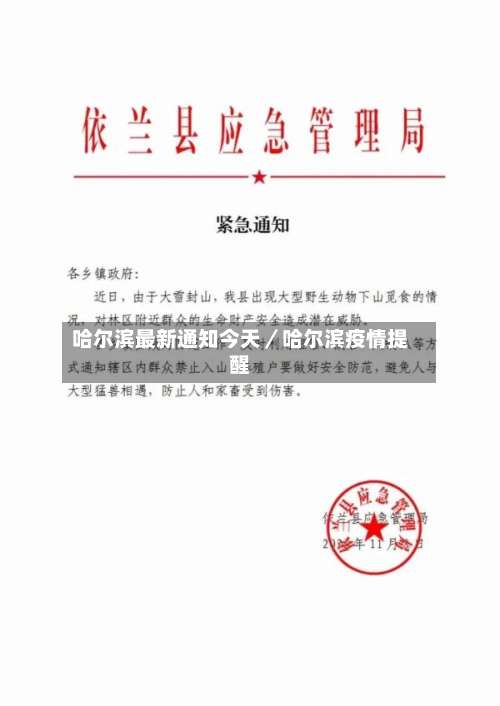 哈尔滨最新通知今天／哈尔滨疫情提醒-第1张图片