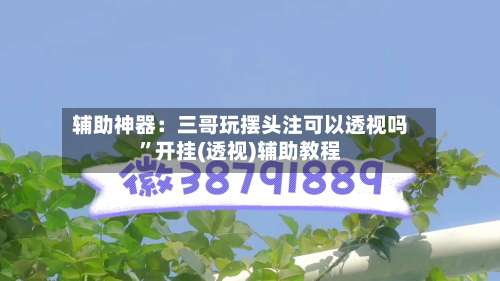 辅助神器：三哥玩摆头注可以透视吗”开挂(透视)辅助教程-第3张图片