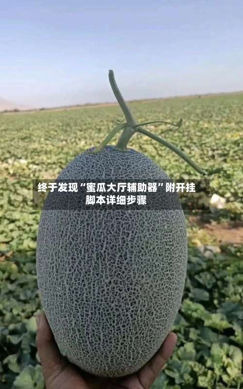 终于发现“蜜瓜大厅辅助器”附开挂脚本详细步骤-第1张图片