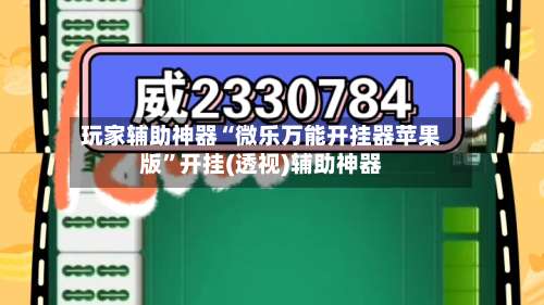 玩家辅助神器“微乐万能开挂器苹果版”开挂(透视)辅助神器-第1张图片
