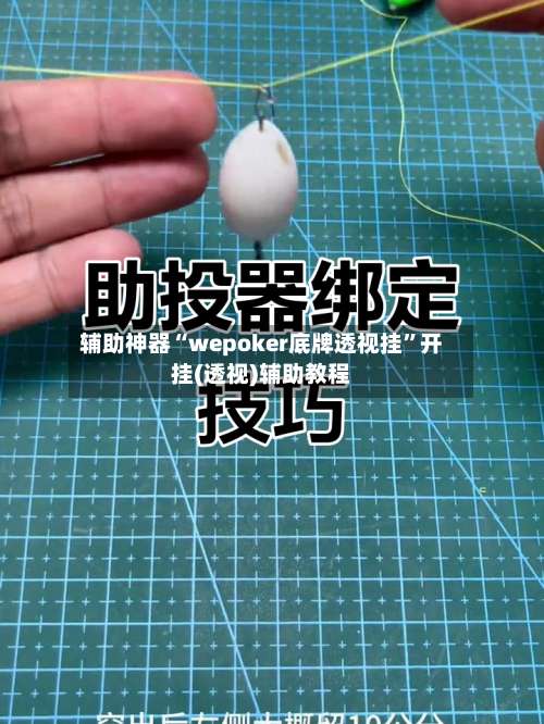 辅助神器“wepoker底牌透视挂	”开挂(透视)辅助教程-第1张图片