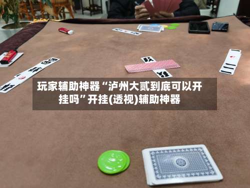 玩家辅助神器“泸州大贰到底可以开挂吗”开挂(透视)辅助神器-第2张图片