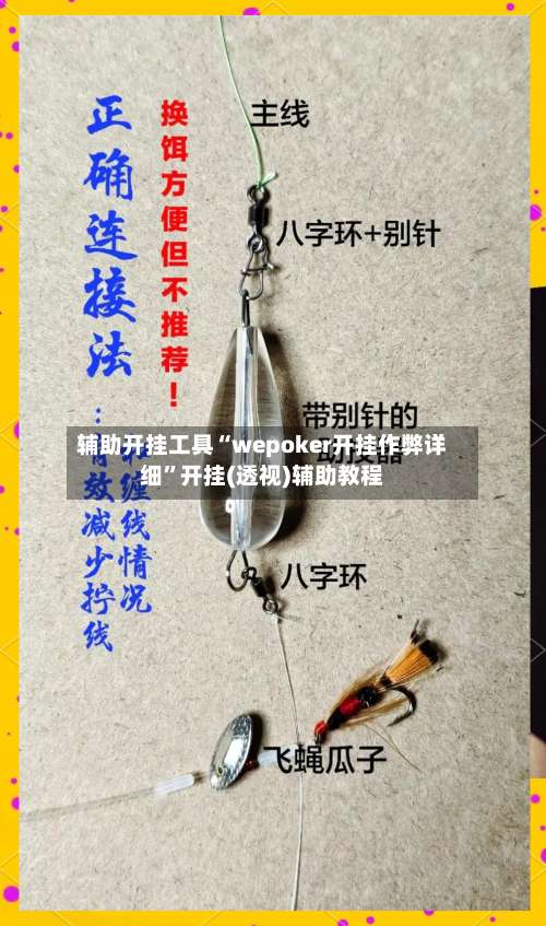 辅助开挂工具“wepoker开挂作弊详细”开挂(透视)辅助教程-第1张图片