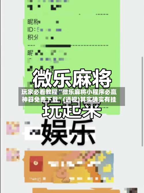 玩家必看教程“微乐麻将小程序必赢神器免费下载”(透视)其实确实有挂-第3张图片