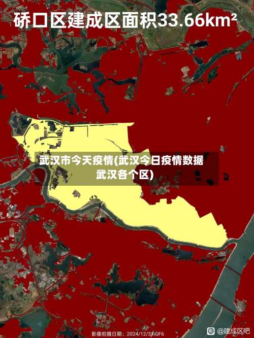 武汉市今天疫情(武汉今日疫情数据武汉各个区)-第3张图片