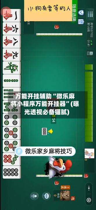 万能开挂辅助“微乐麻将小程序万能开挂器”(曝光透视必备猫腻)-第2张图片