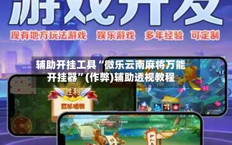 辅助开挂工具“微乐云南麻将万能开挂器”(作弊)辅助透视教程-第2张图片
