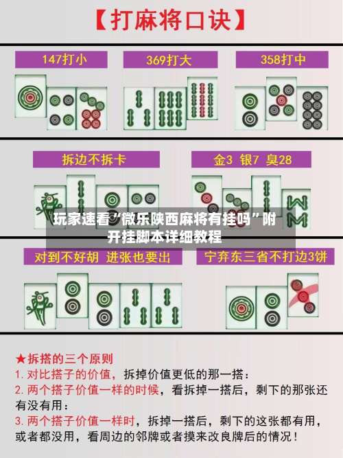 玩家速看“微乐陕西麻将有挂吗”附开挂脚本详细教程-第2张图片