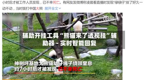 辅助开挂工具“熊猫来了透视挂”辅助器 - 实时智能回复-第2张图片