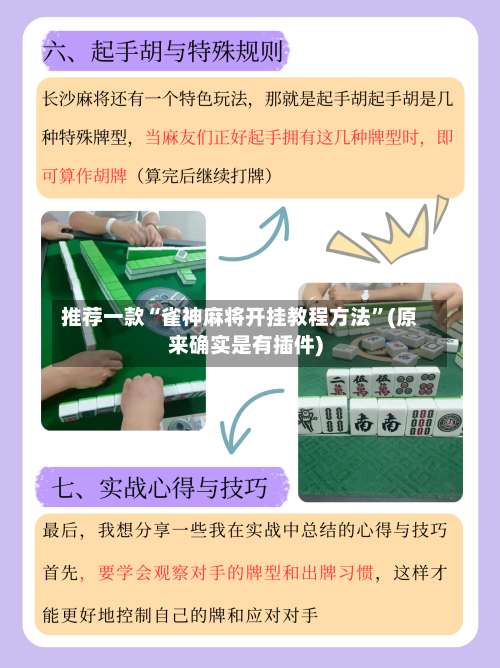 推荐一款“雀神麻将开挂教程方法”(原来确实是有插件)-第1张图片