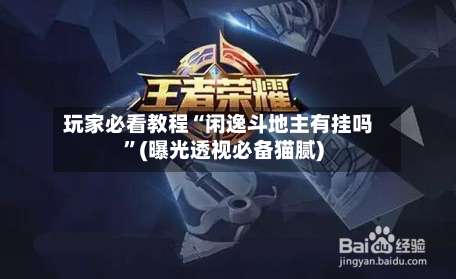 玩家必看教程“闲逸斗地主有挂吗”(曝光透视必备猫腻)-第1张图片