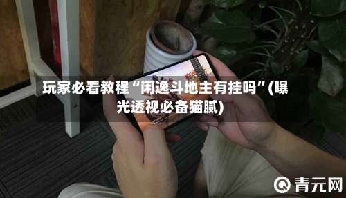 玩家必看教程“闲逸斗地主有挂吗	”(曝光透视必备猫腻)-第2张图片