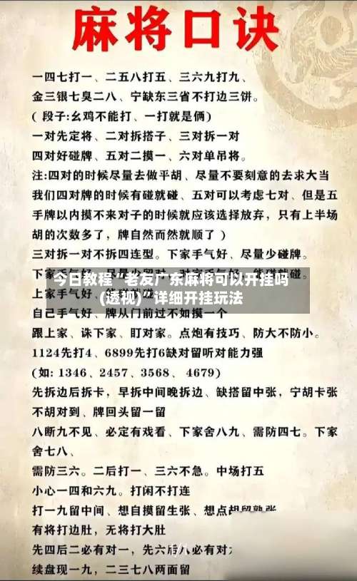 今日教程“老友广东麻将可以开挂吗(透视)”详细开挂玩法-第2张图片