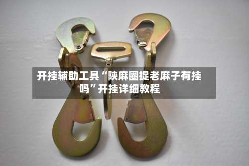开挂辅助工具“陕麻圈捉老麻子有挂吗”开挂详细教程-第1张图片