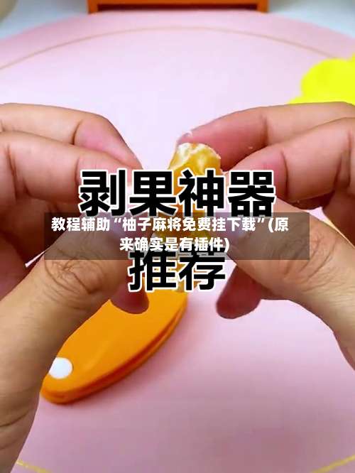 教程辅助“柚子麻将免费挂下载”(原来确实是有插件)-第2张图片