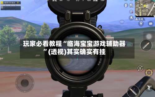 玩家必看教程“临海宝宝游戏辅助器	”(透视)其实确实有挂-第1张图片