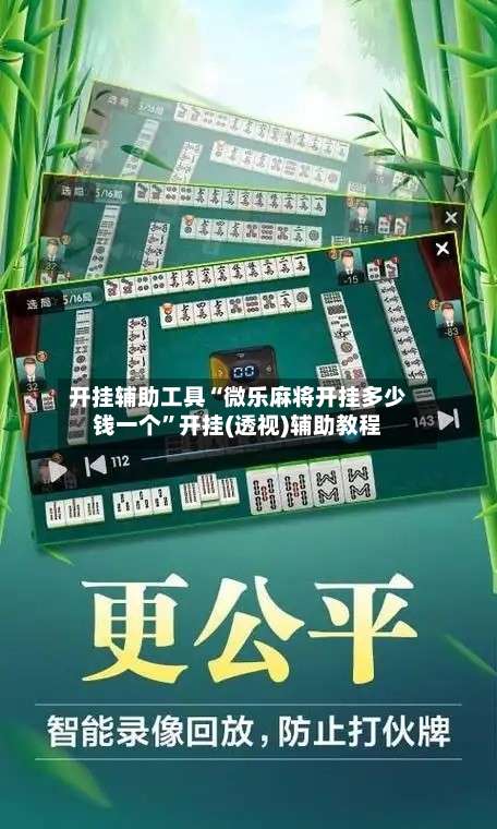 开挂辅助工具“微乐麻将开挂多少钱一个	”开挂(透视)辅助教程-第2张图片