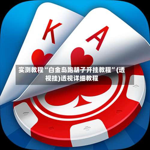 实测教程“白金岛跑胡子开挂教程”(透视挂)透视详细教程-第3张图片