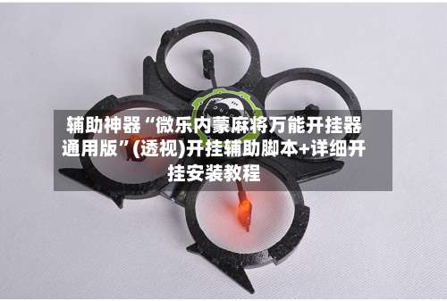 辅助神器“微乐内蒙麻将万能开挂器通用版”(透视)开挂辅助脚本+详细开挂安装教程-第2张图片