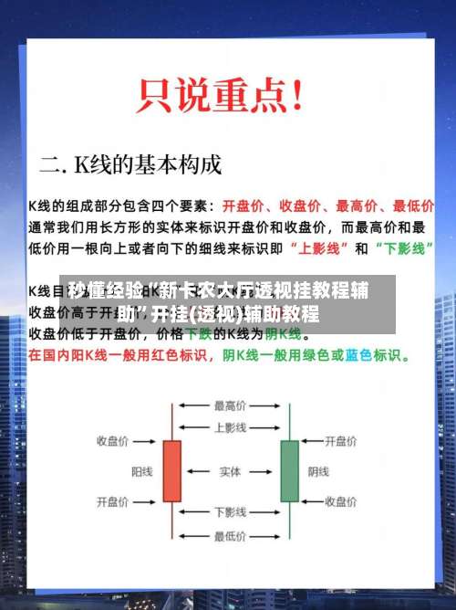 秒懂经验“新卡农大厅透视挂教程辅助”开挂(透视)辅助教程-第1张图片