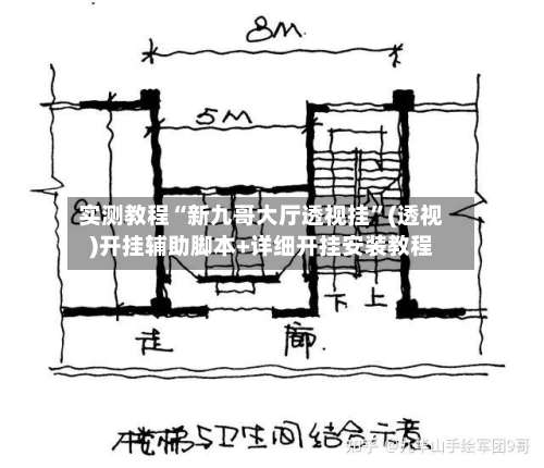 实测教程“新九哥大厅透视挂	”(透视)开挂辅助脚本+详细开挂安装教程-第3张图片