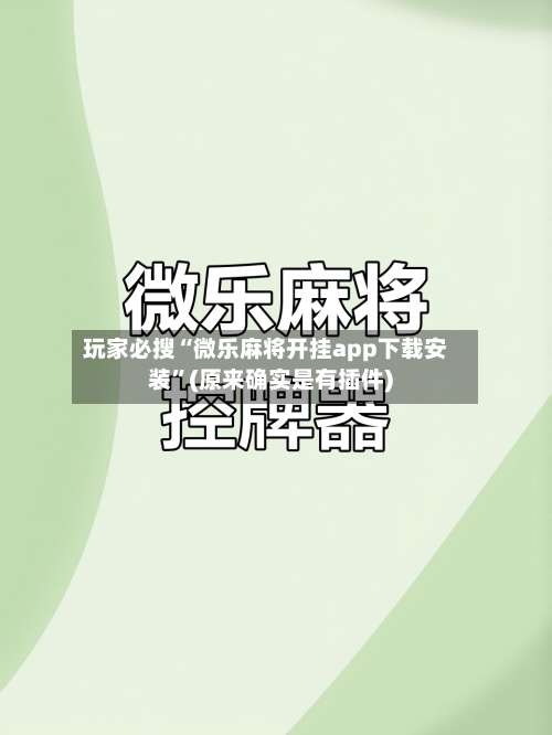 玩家必搜“微乐麻将开挂app下载安装”(原来确实是有插件)-第3张图片