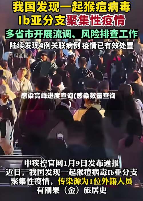 感染高峰进度查询(感染数量查询)-第1张图片